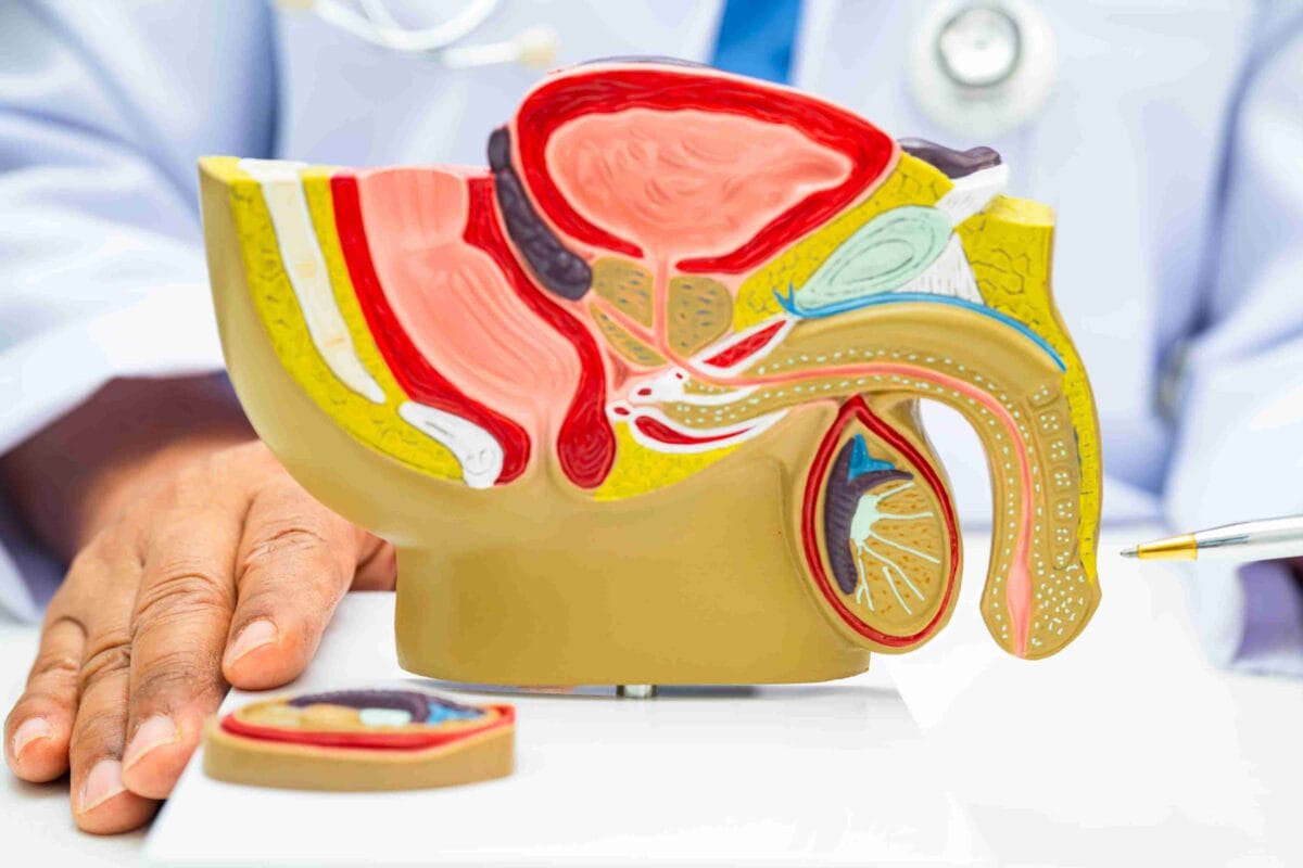 TRT and Erectile Dysfunction: What Testosterone Can (and Cannot) Do for ED