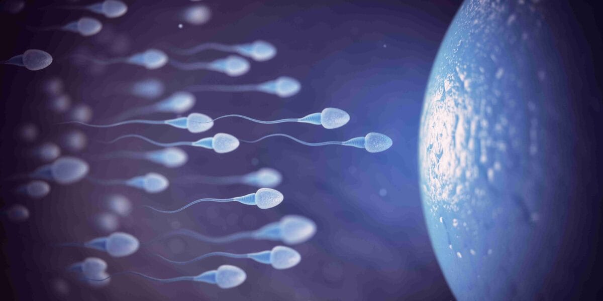 TRT and Fertility: What Every Man Needs to Know Before Starting Testosterone Therapy